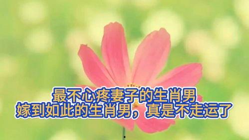 真不走运,真不走运的人生轨迹