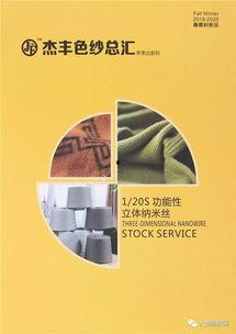 卡米尔 2019,回顾与展望