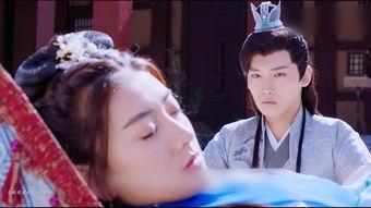 嫁给植物人王爷后她大杀四方,逆袭江湖，谱写传奇