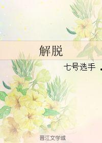 解脱2017,回顾与展望