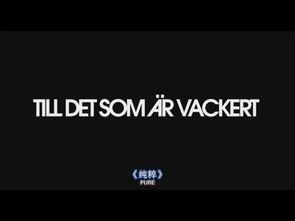 纯粹2010,回顾那个时代的纯真与激情