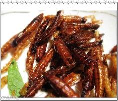 野味儿,自然界的珍馐美味之旅