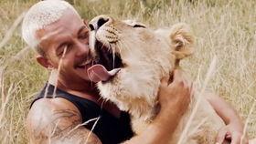 功夫雄狮,勇闯江湖的传奇之旅